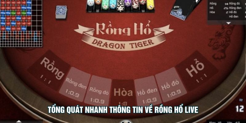 Tổng quát nhanh thông tin về rồng hổ live